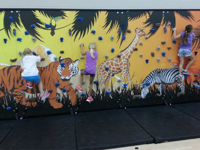 Climbing wall with wild animals painted on it