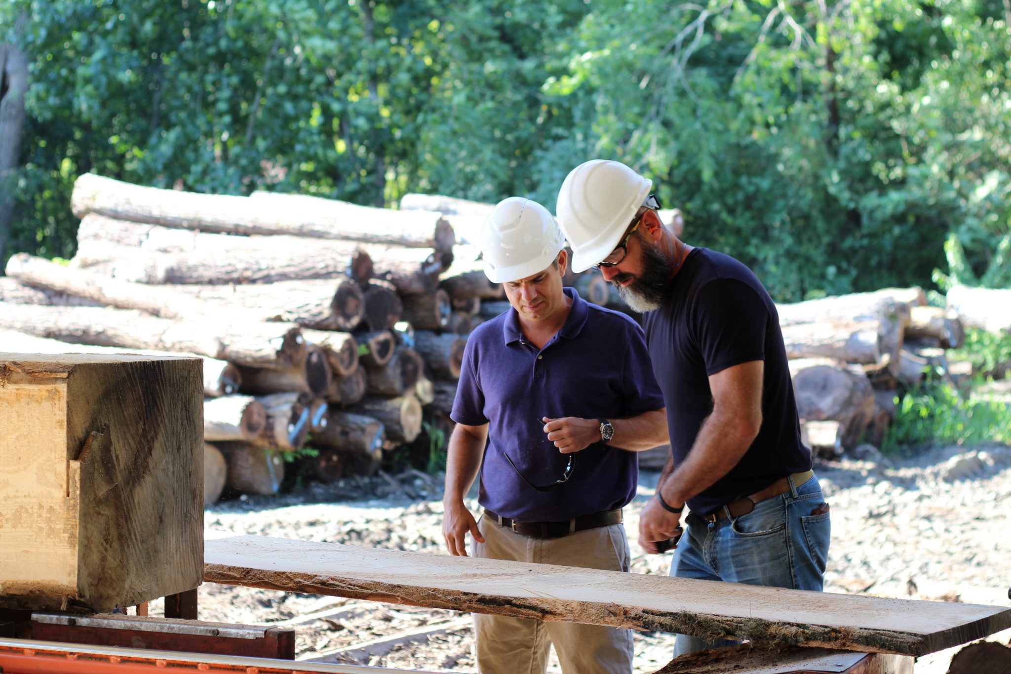 Men inspecting wood outside in front of pile of logs