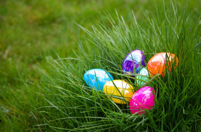 Colorful easter eggs in grass