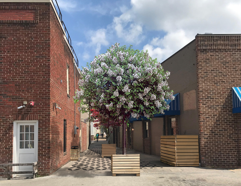 Alleyway and tree with flowers