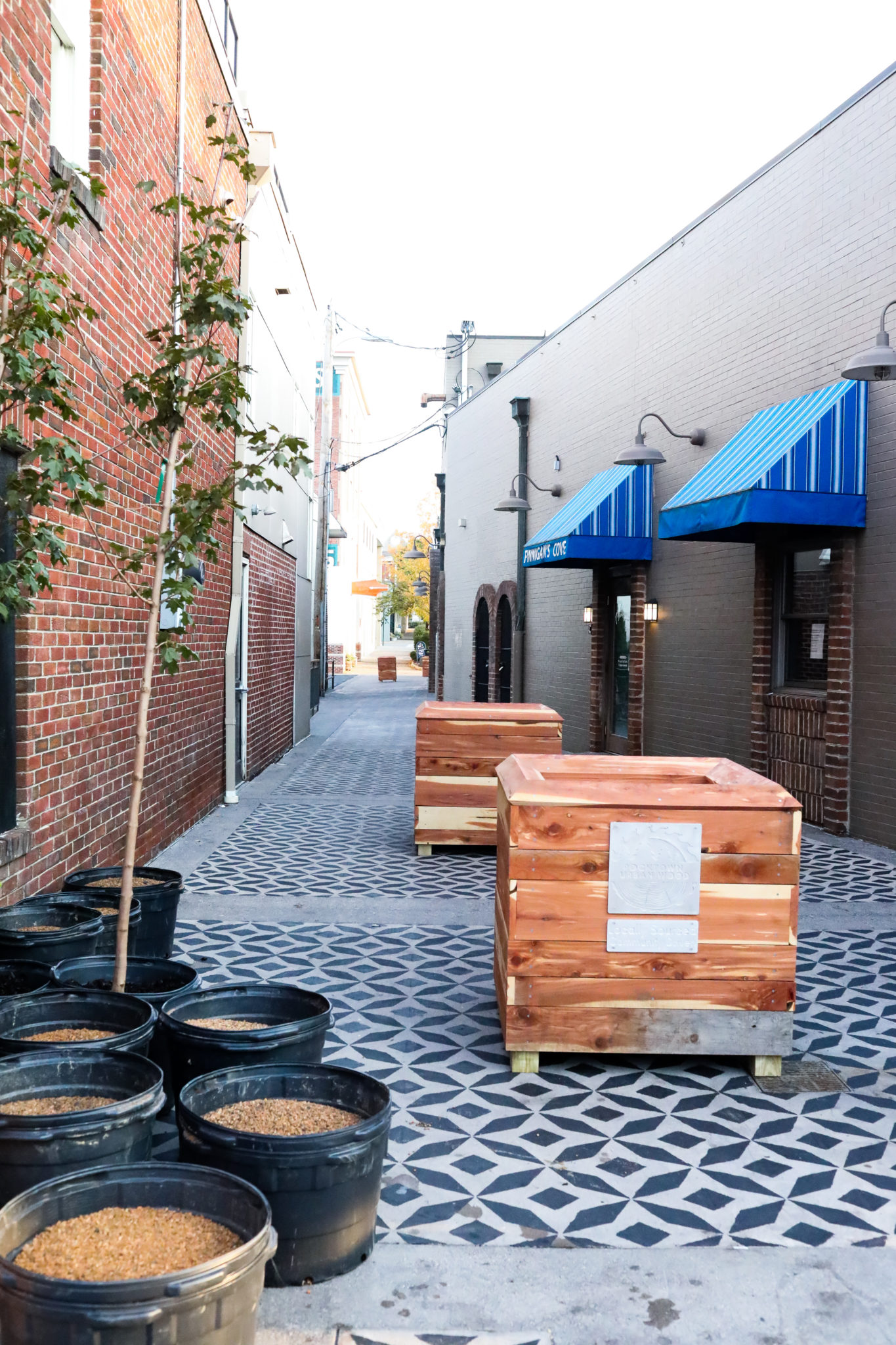 Alleyway with plants