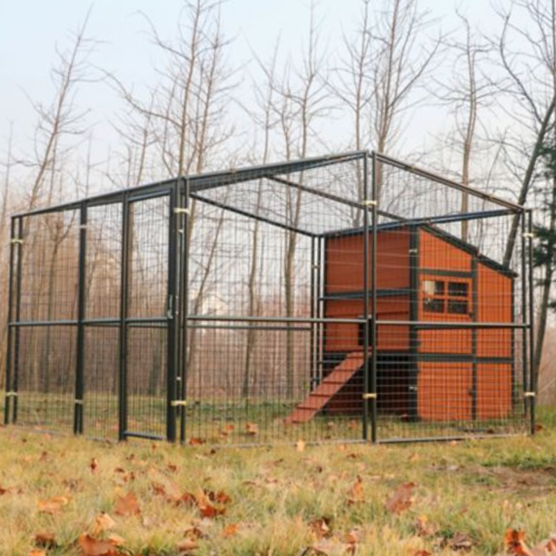 Chicken Coop