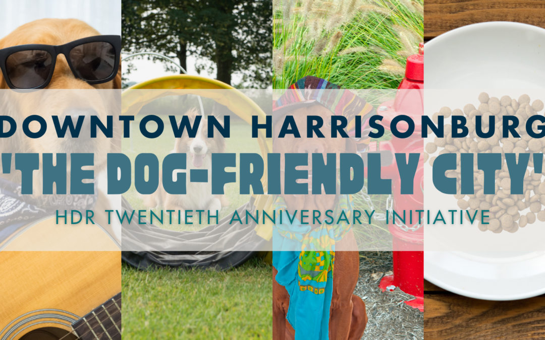 APRIL FOOLS: Downtown Harrisonburg Becoming “The Dog-Friendly City”