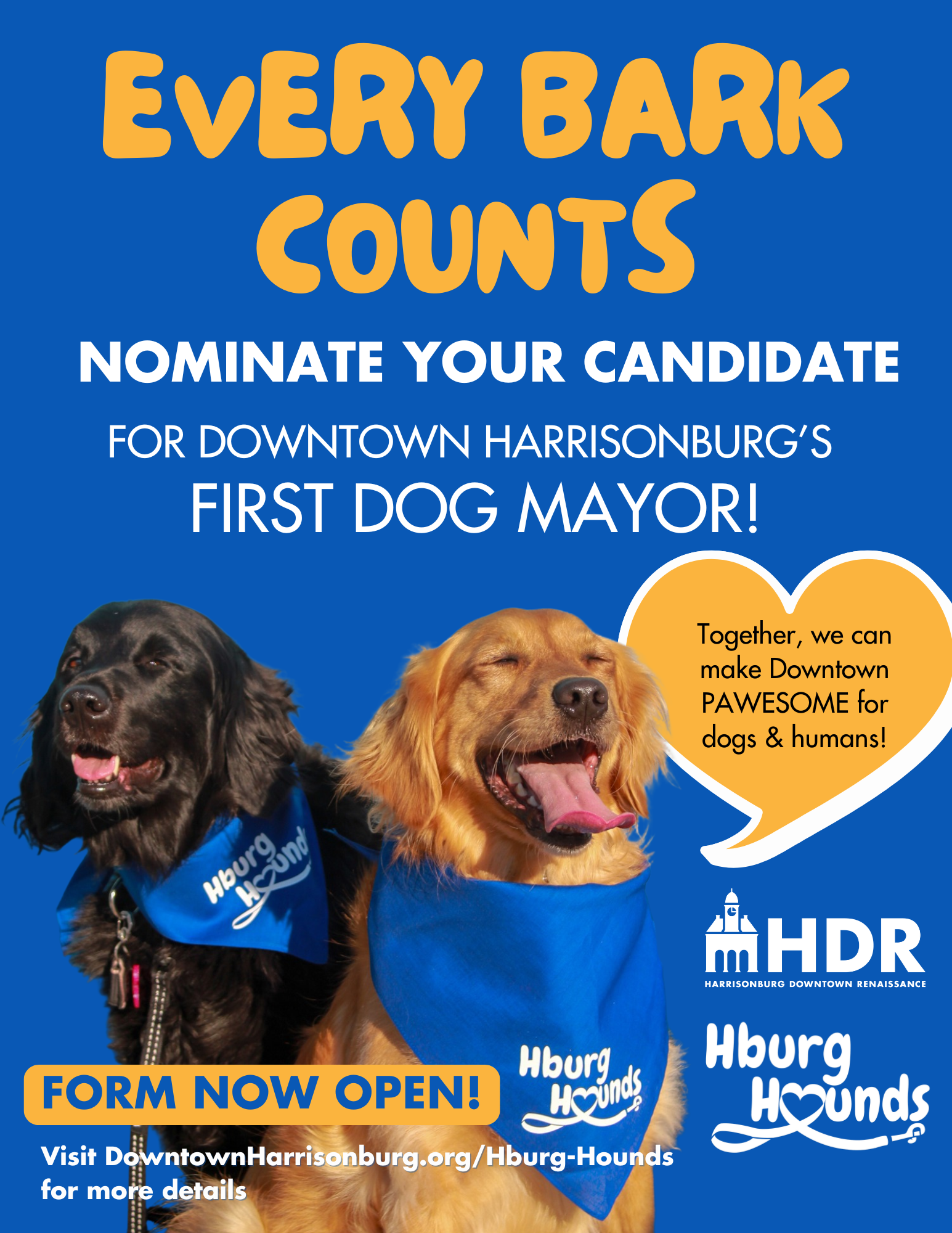Dog_Mayor_Compaign_Design_examples