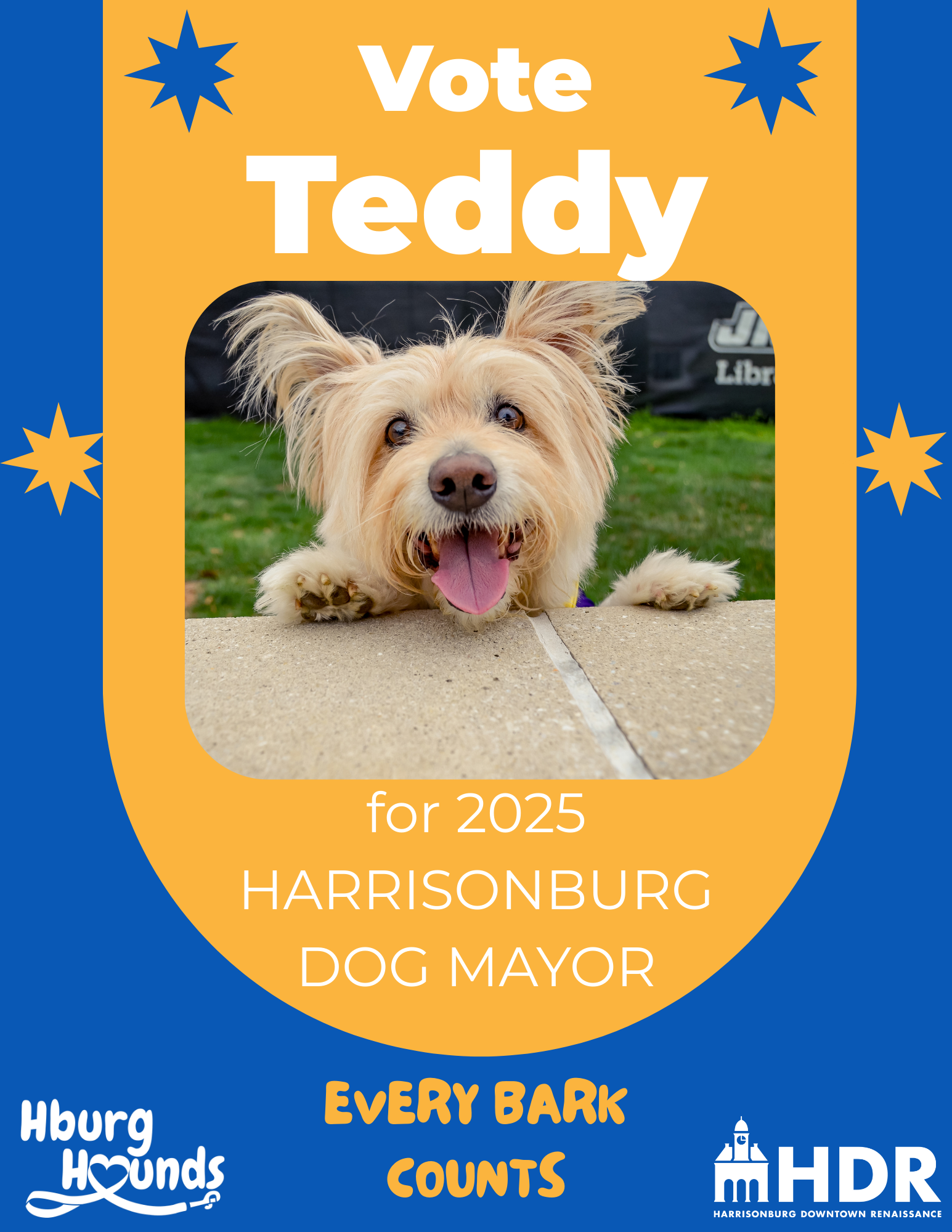 Vote Teddy